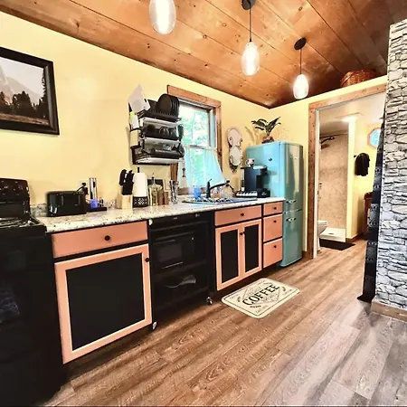 Dreamy Couples Cabin In The Shenandoah Forrest Luray Exterior photo